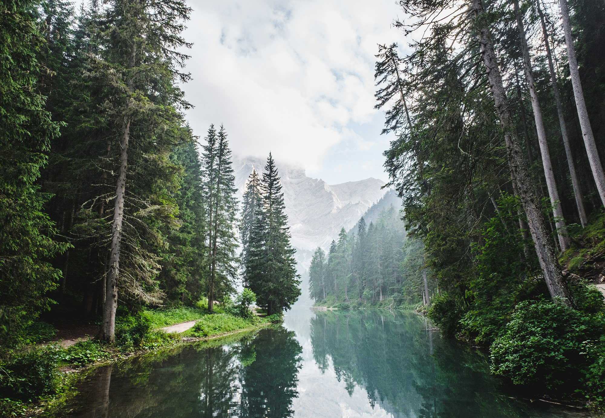 luca-bravo-134776-unsplash