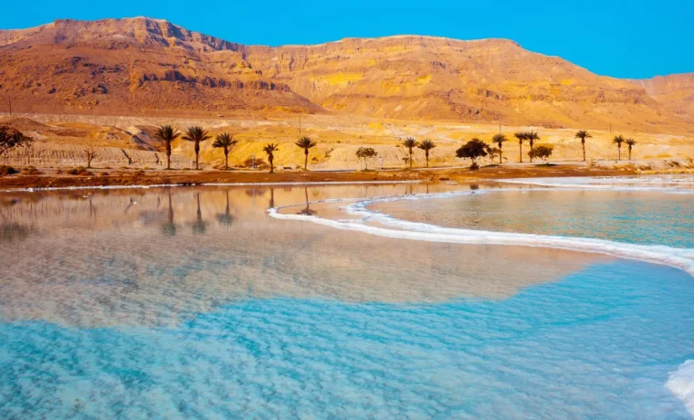 From Amman :Private transfer to Airport, Dead Sea.