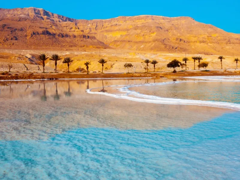 From Amman :Private transfer to Airport, Dead Sea.
