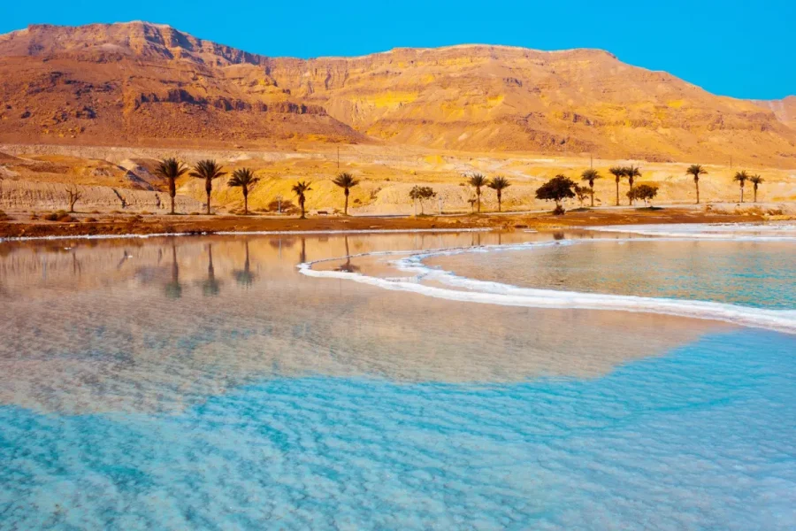 From Amman :Private transfer to Airport, Dead Sea.